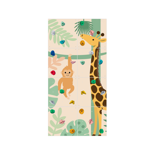 Montessori Climbing Wall