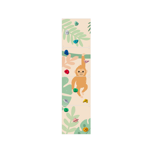 Montessori Climbing Wall